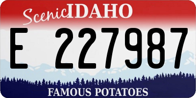 ID license plate E227987