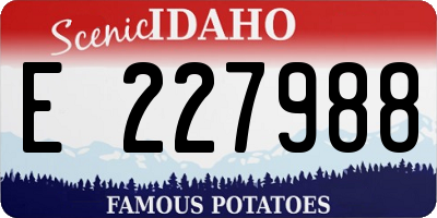 ID license plate E227988