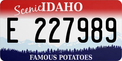 ID license plate E227989