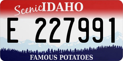 ID license plate E227991