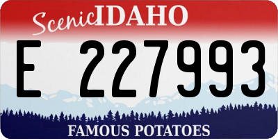 ID license plate E227993
