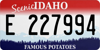 ID license plate E227994