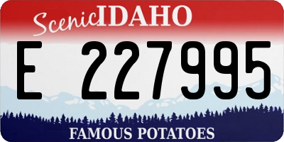 ID license plate E227995