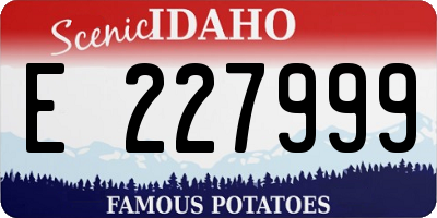 ID license plate E227999
