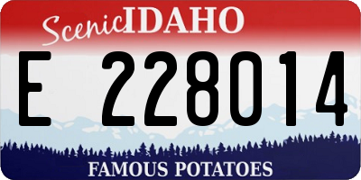 ID license plate E228014