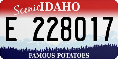 ID license plate E228017