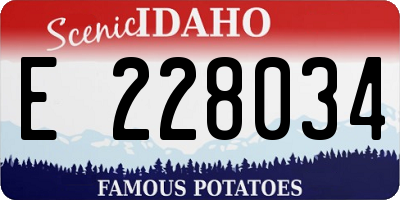 ID license plate E228034