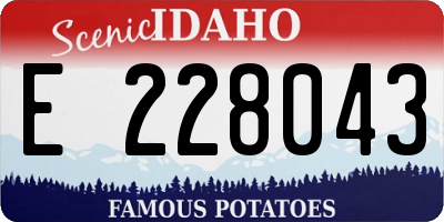 ID license plate E228043