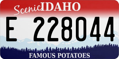 ID license plate E228044