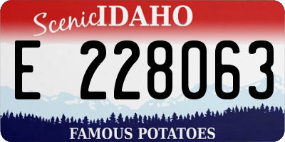 ID license plate E228063