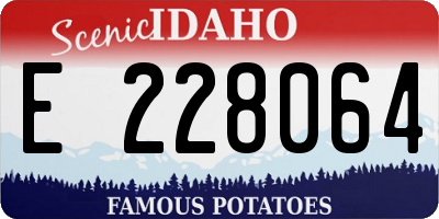 ID license plate E228064