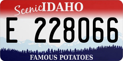 ID license plate E228066