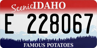 ID license plate E228067
