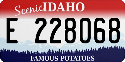 ID license plate E228068
