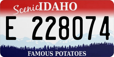 ID license plate E228074