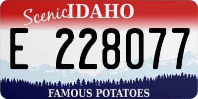 ID license plate E228077