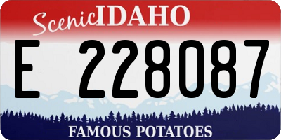 ID license plate E228087