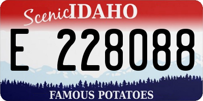 ID license plate E228088
