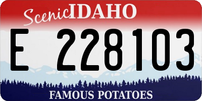 ID license plate E228103