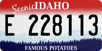 ID license plate E228113