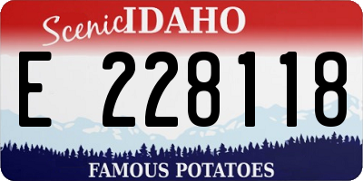 ID license plate E228118