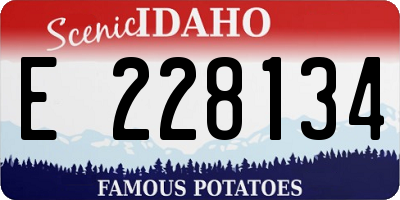 ID license plate E228134