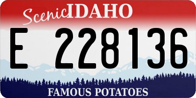 ID license plate E228136