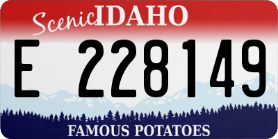 ID license plate E228149