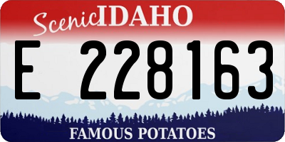 ID license plate E228163