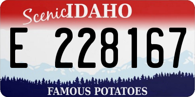 ID license plate E228167