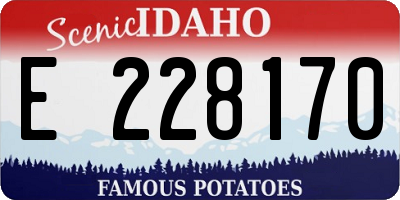 ID license plate E228170