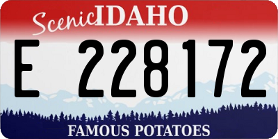 ID license plate E228172