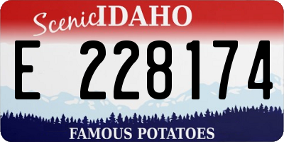 ID license plate E228174
