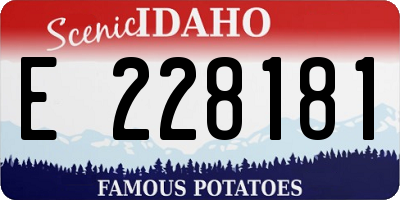 ID license plate E228181