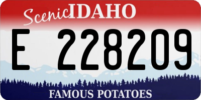 ID license plate E228209