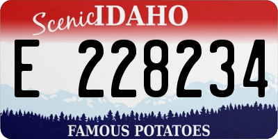 ID license plate E228234
