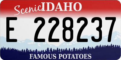 ID license plate E228237