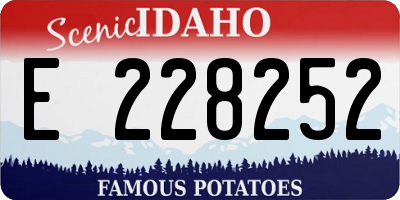 ID license plate E228252