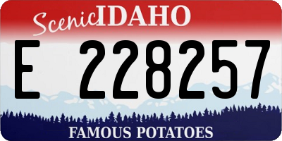 ID license plate E228257