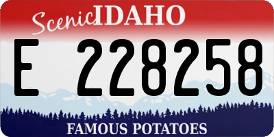 ID license plate E228258