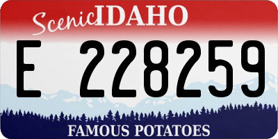 ID license plate E228259