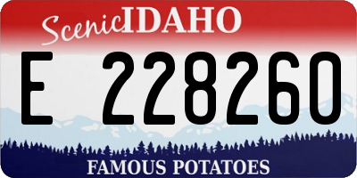 ID license plate E228260