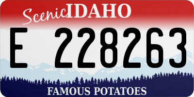 ID license plate E228263