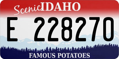 ID license plate E228270