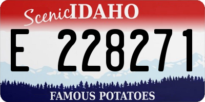 ID license plate E228271