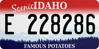 ID license plate E228286