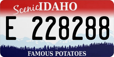 ID license plate E228288