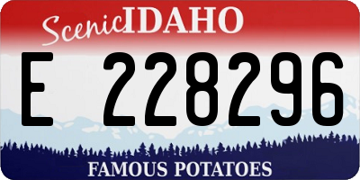 ID license plate E228296