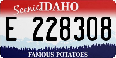 ID license plate E228308