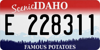 ID license plate E228311